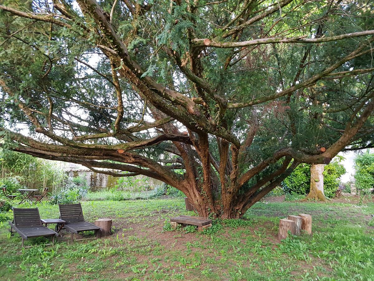 Le Nid Des Oiseaux Villa Cubjac Exterior foto